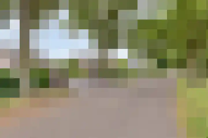 Steeuwichtweg 28 Uden thumbnail 34