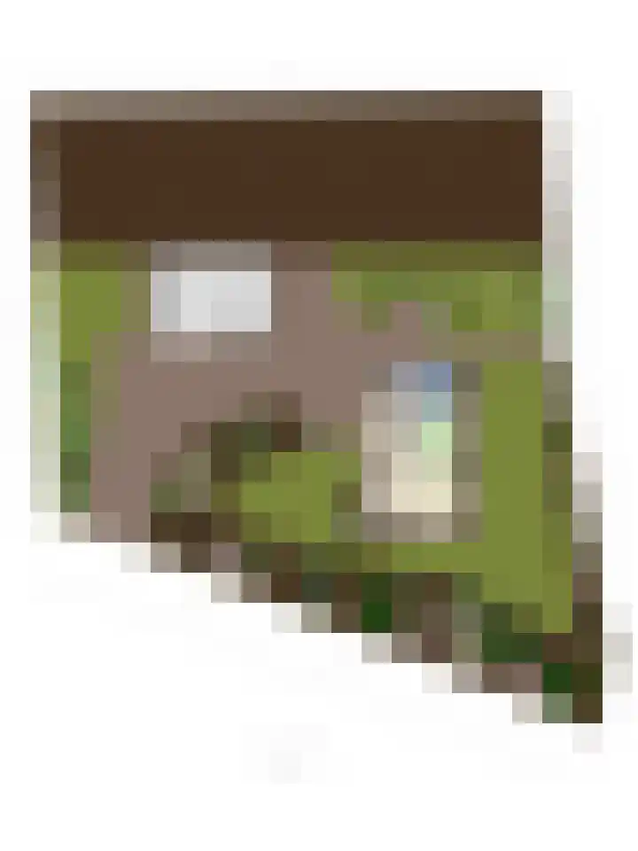 Steeuwichtweg 28 Uden thumbnail 35