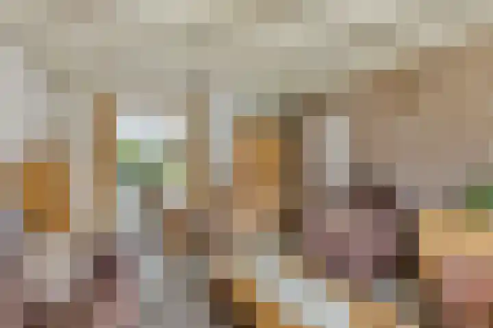 Steeuwichtweg 28 Uden thumbnail 4