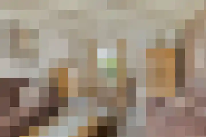 Steeuwichtweg 28 Uden thumbnail 6