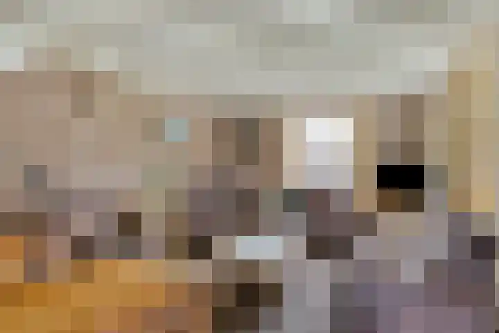 Steeuwichtweg 28 Uden thumbnail 7