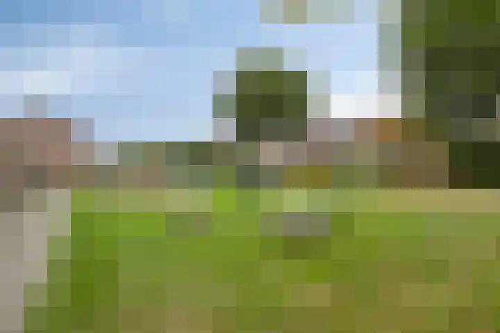 Steffenberg 53 Ottersum thumbnail 28