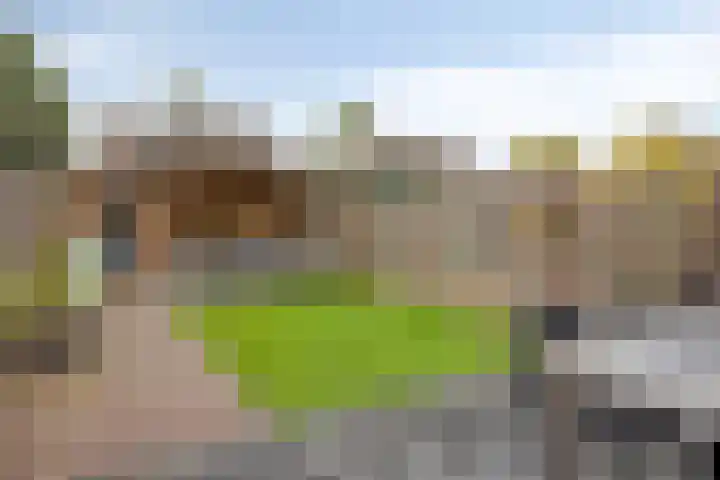 Steffenberg 53 Ottersum thumbnail 6