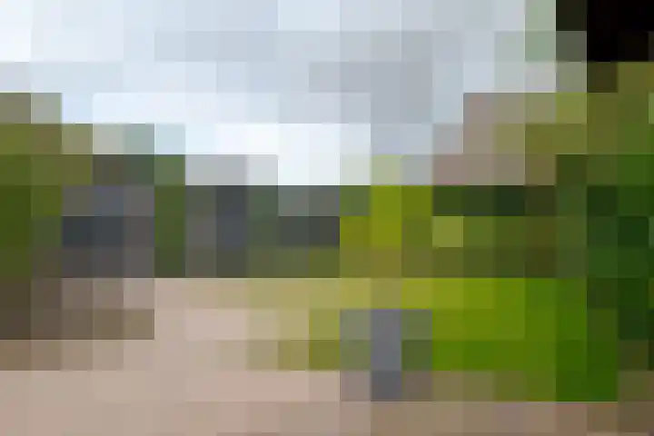 Steffensberg 13 Westerbork thumbnail 4