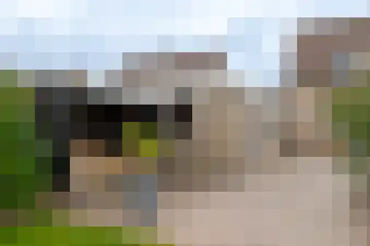 Steffensberg 13 Westerbork thumbnail 42