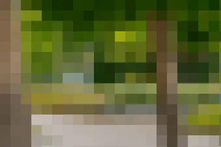 Steffensberg 13 Westerbork thumbnail 6