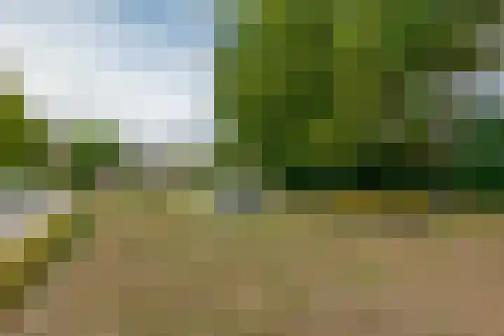 Steffensberg 13 Westerbork thumbnail 7