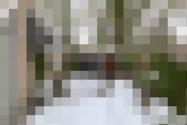 Steffensberg 19 Westerbork thumbnail 8