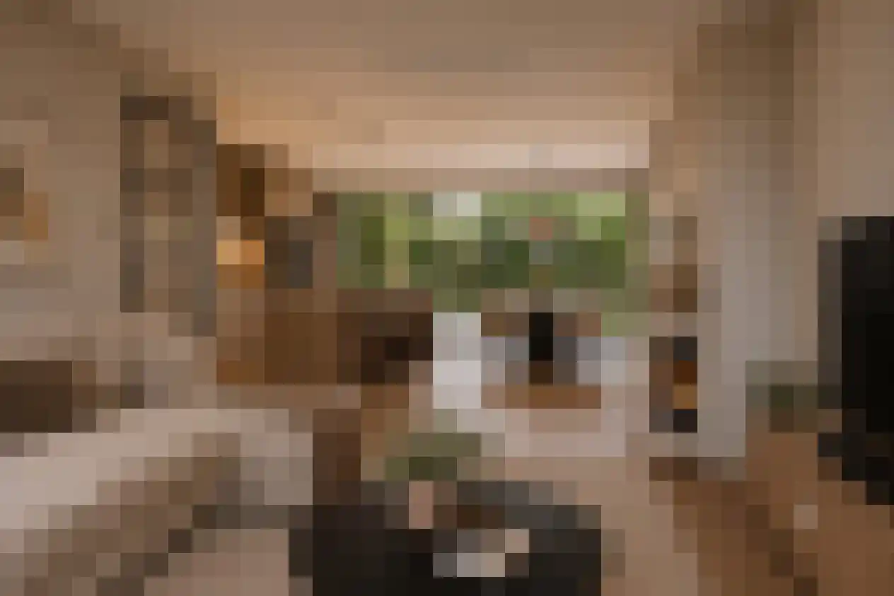 Steffenshein 21 Laren thumbnail 11