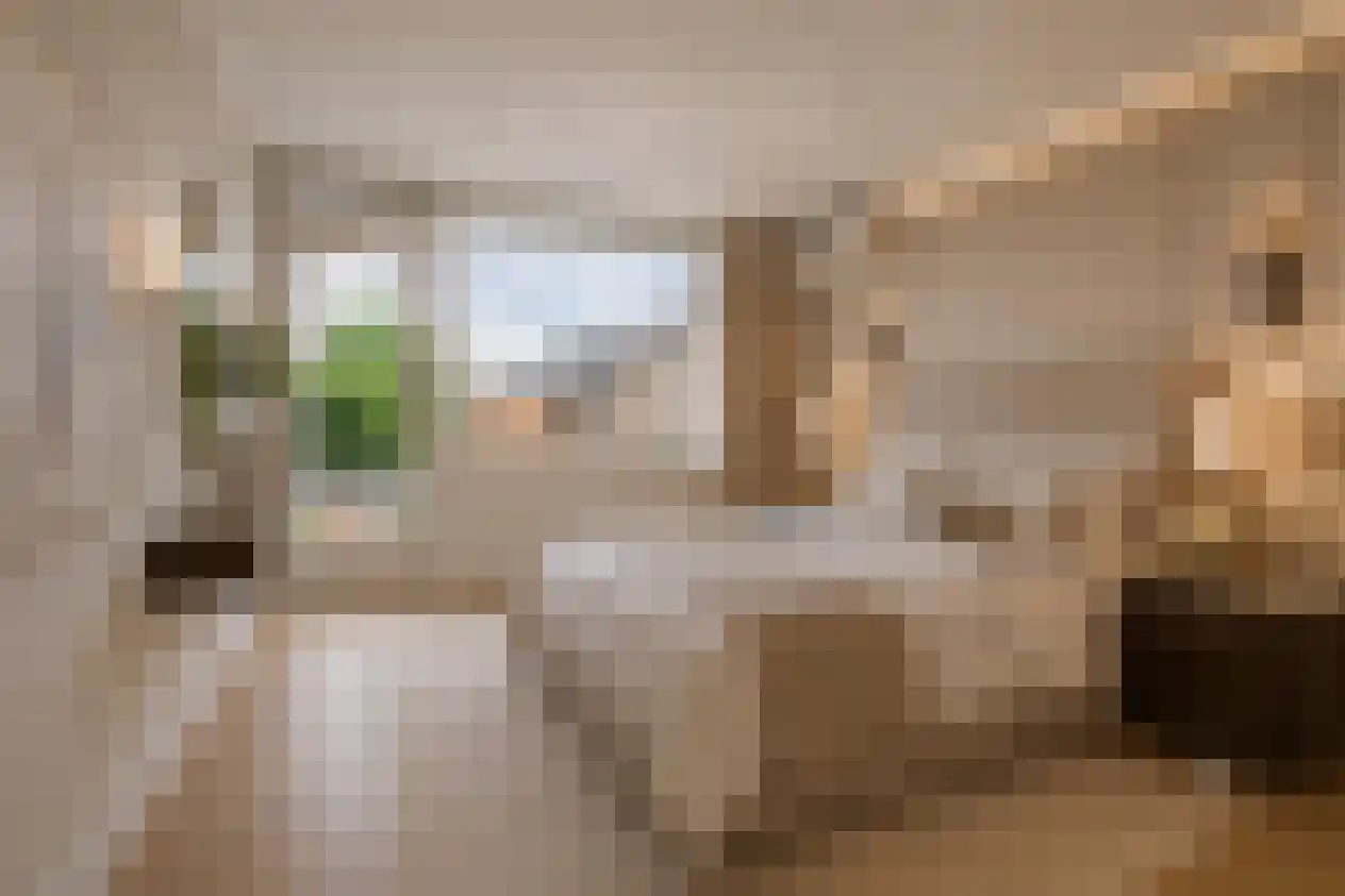 Steffenshein 21 Laren thumbnail 19