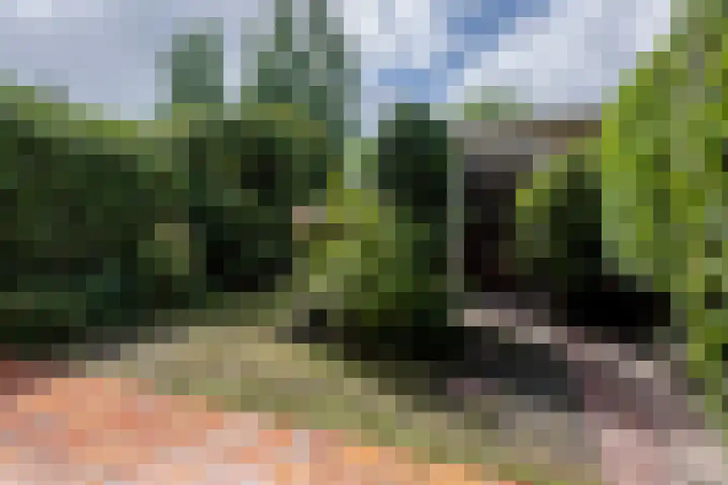 Steffenshein 21 Laren thumbnail 39