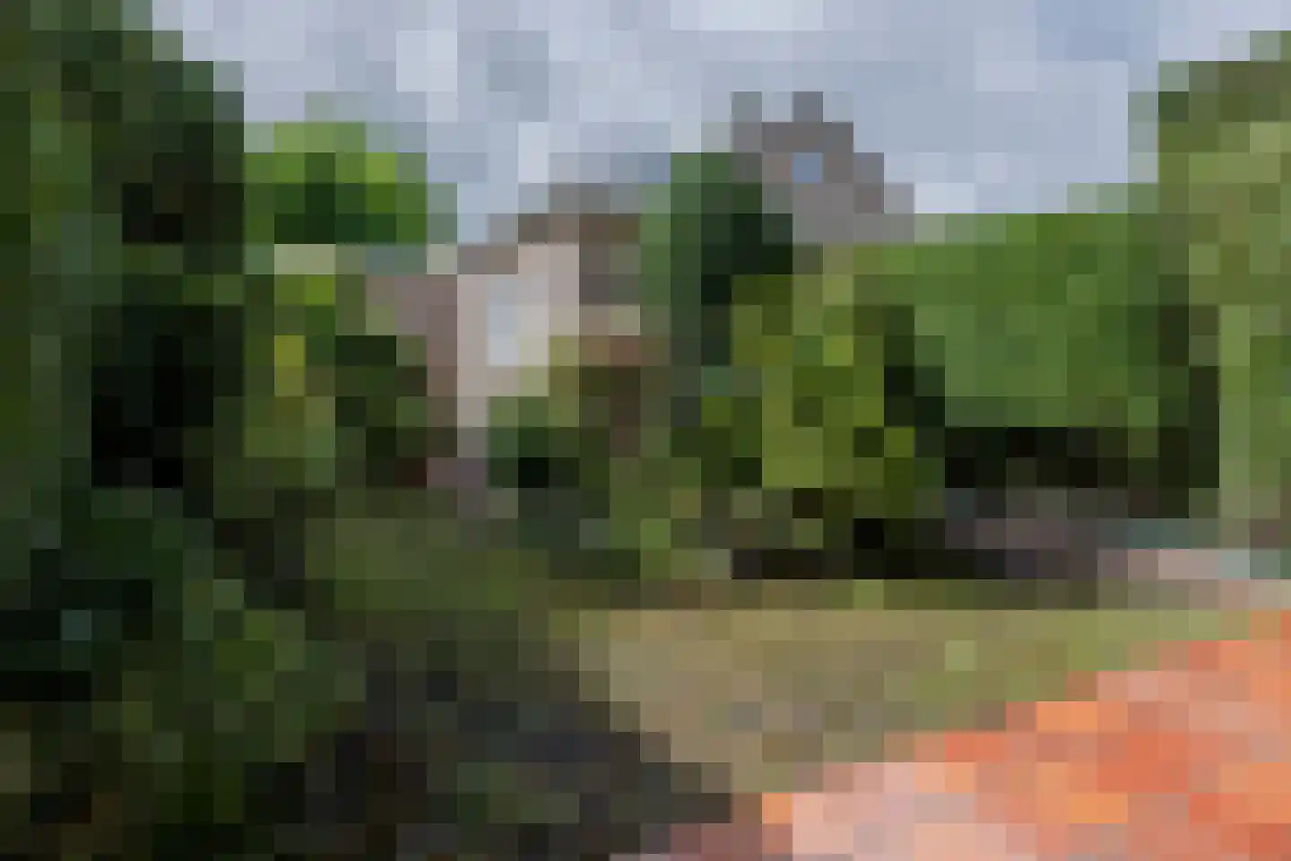 Steffenshein 21 Laren thumbnail 40