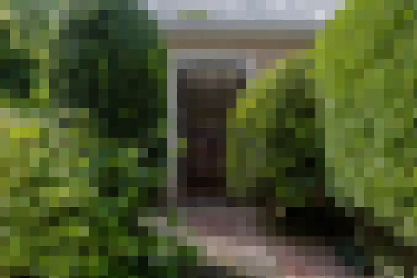 Steffenshein 21 Laren thumbnail 41