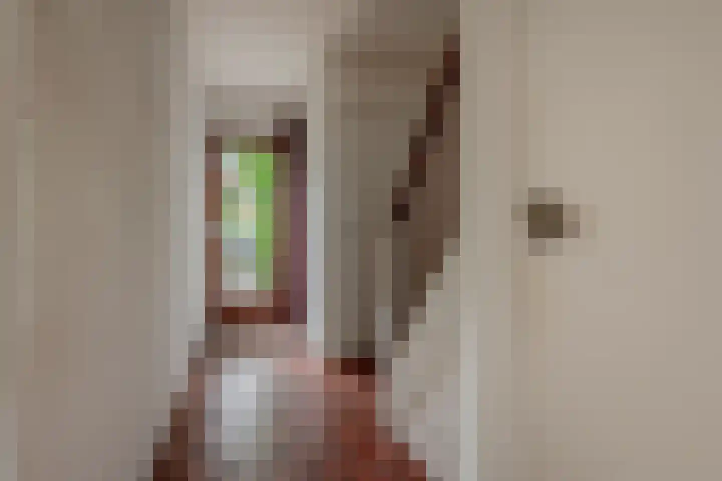 Steffenshein 21 Laren thumbnail 5