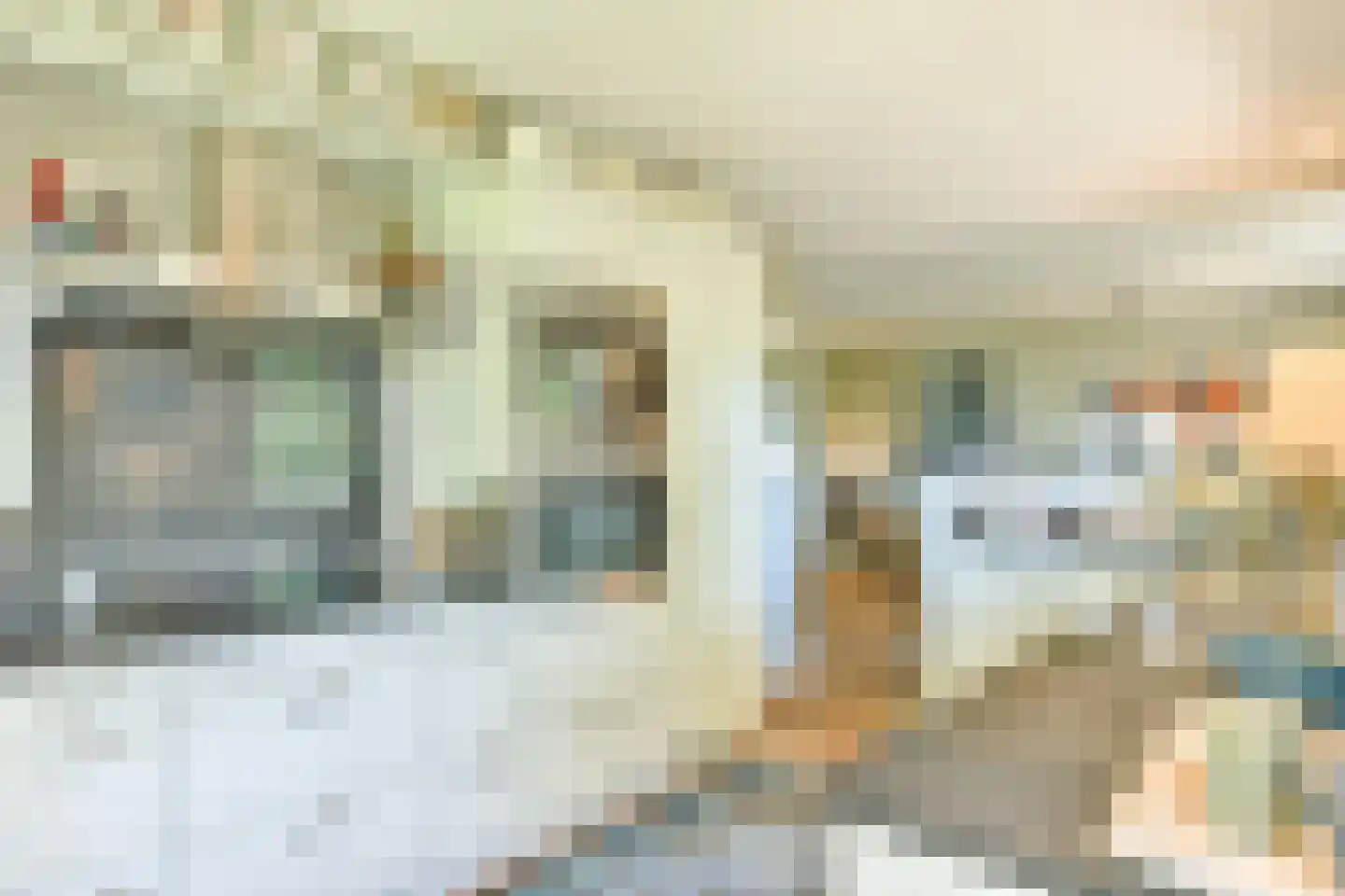 Steffenshein West 24 Laren thumbnail 24