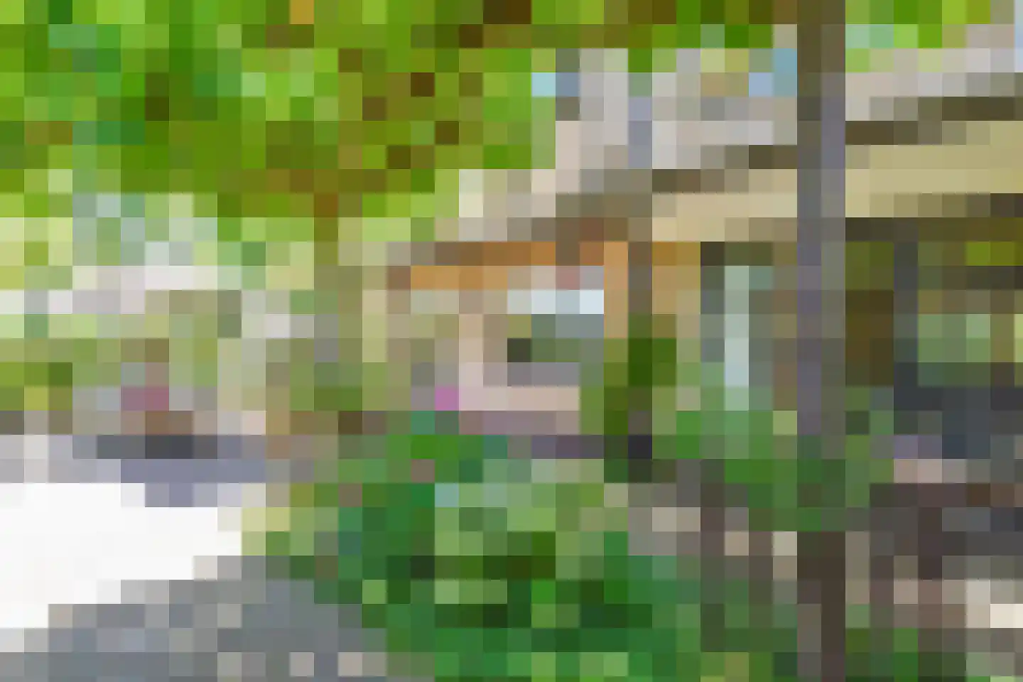 Steffenshein West 24 Laren thumbnail 25