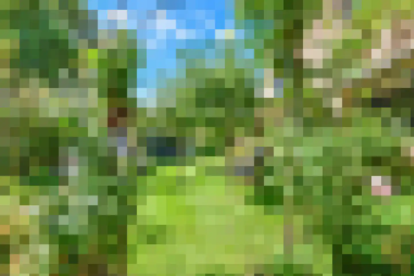 Steffenshein West 24 Laren thumbnail 28