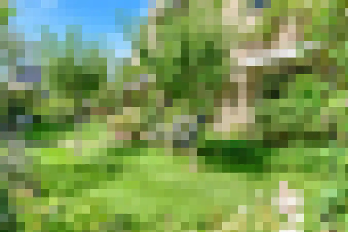 Steffenshein West 24 Laren thumbnail 29