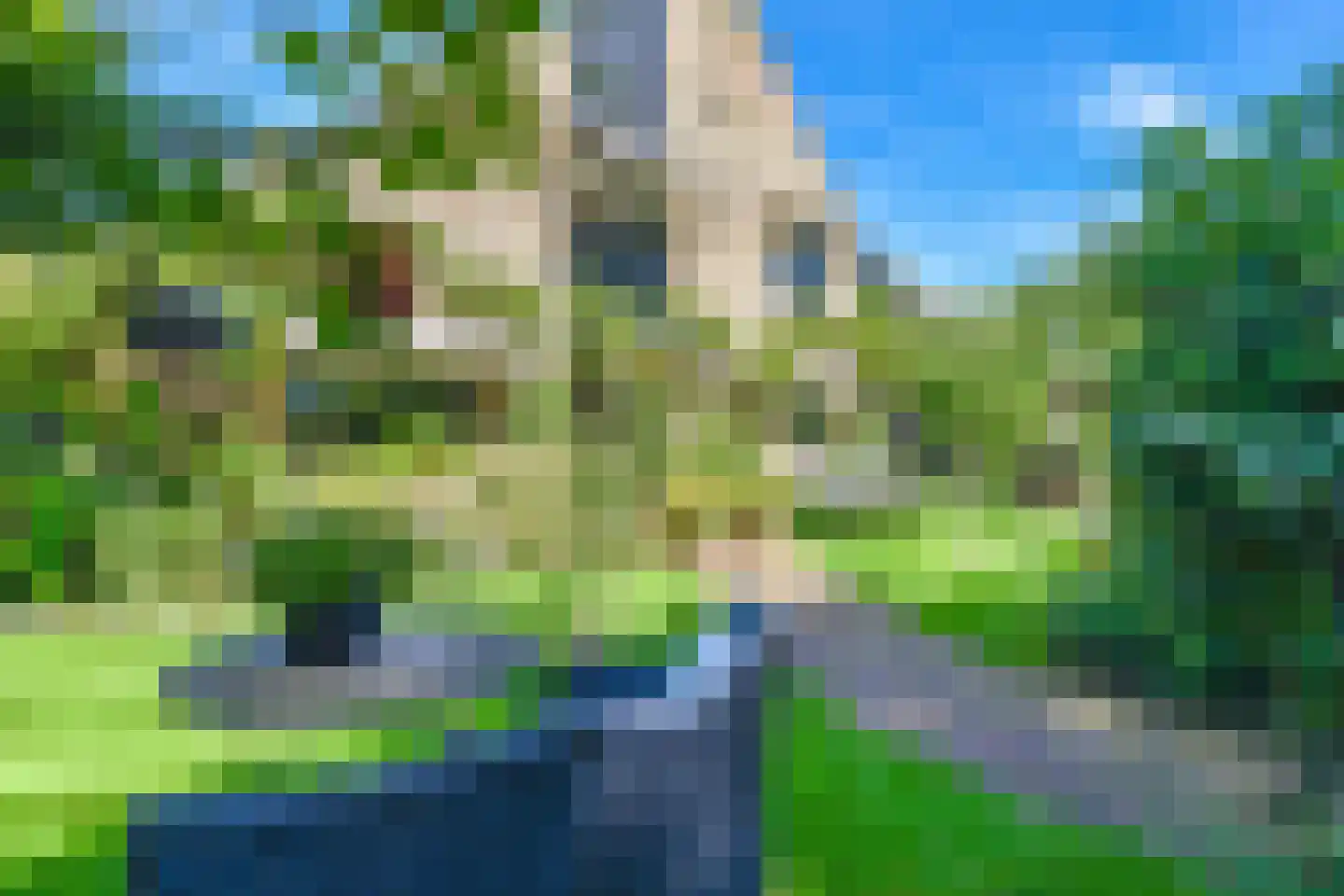 Steffenshein West 24 Laren thumbnail 31