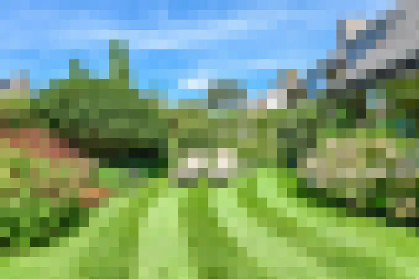Steffenshein West 24 Laren thumbnail 33