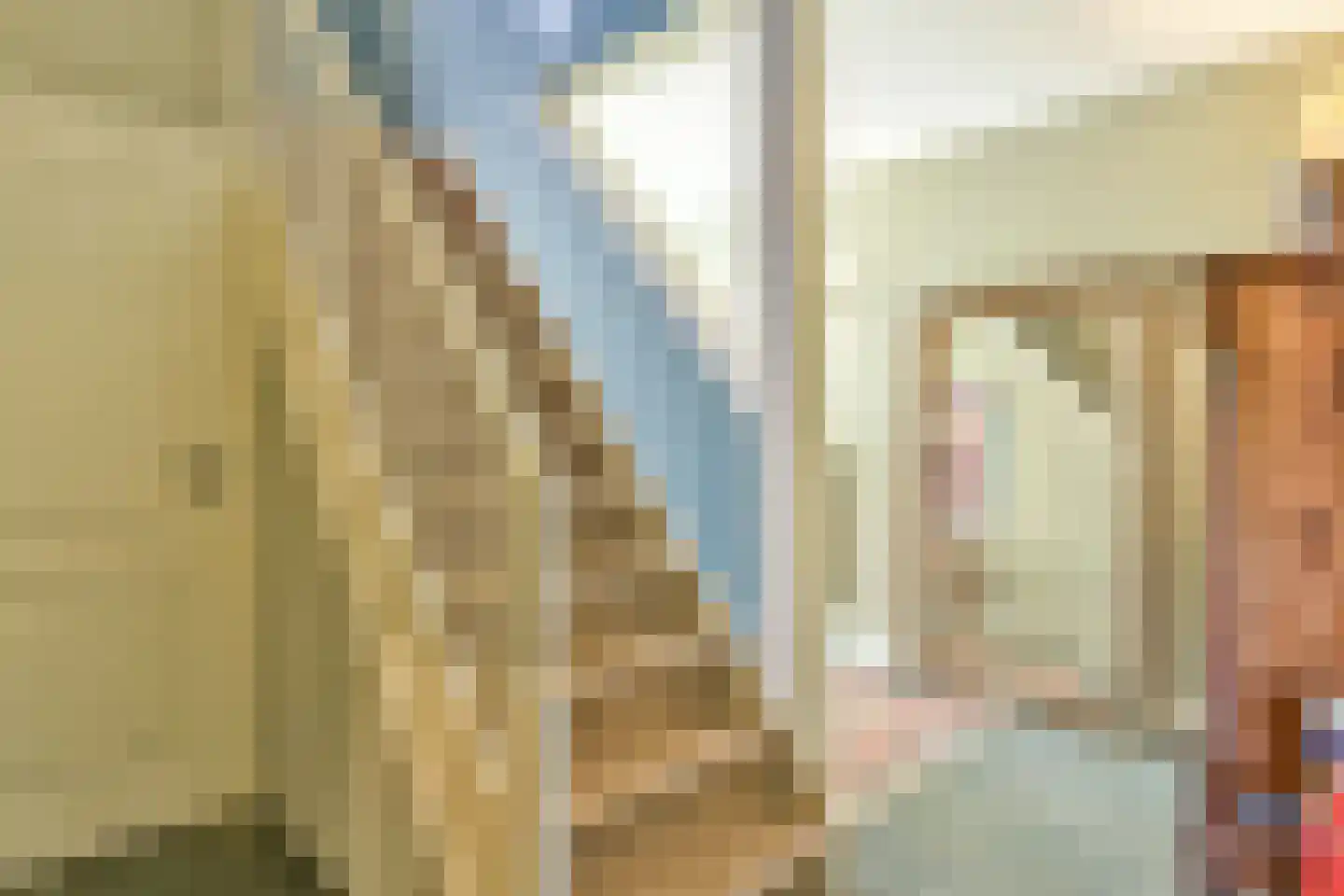 Steffenshein West 24 Laren thumbnail 36
