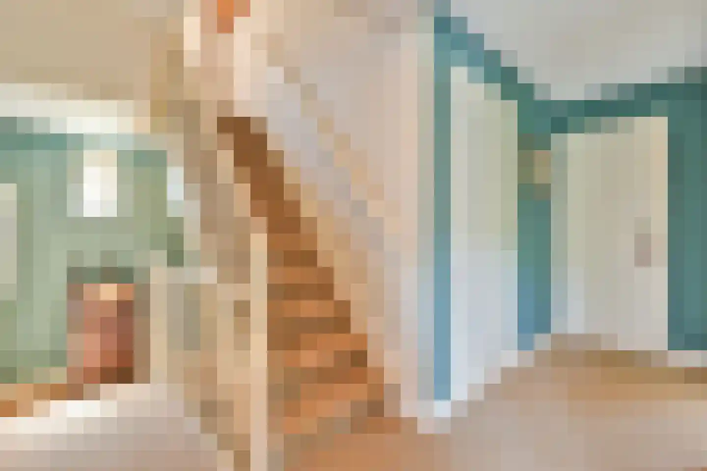 Steffenshein West 24 Laren thumbnail 37