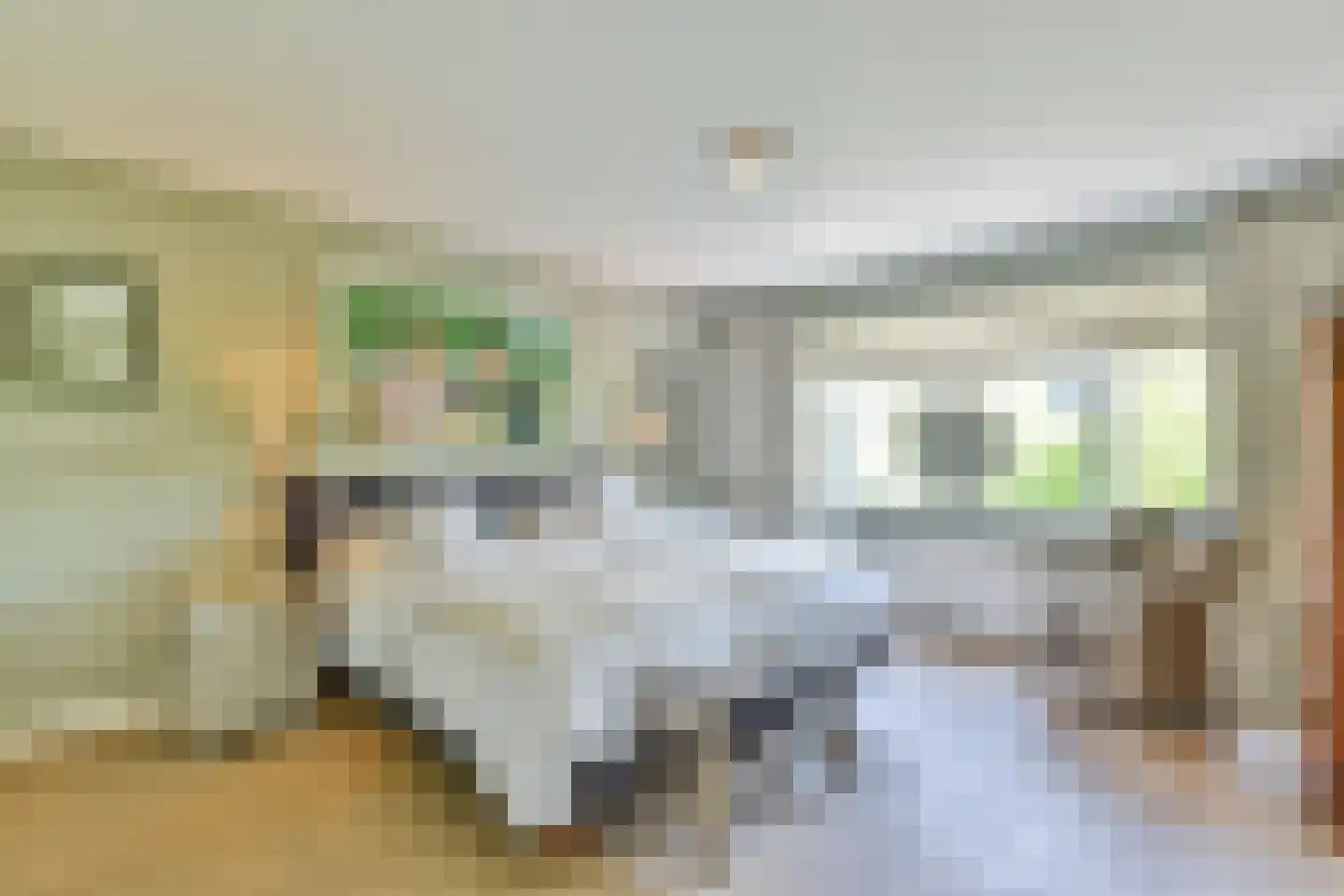 Steffenshein West 24 Laren thumbnail 38