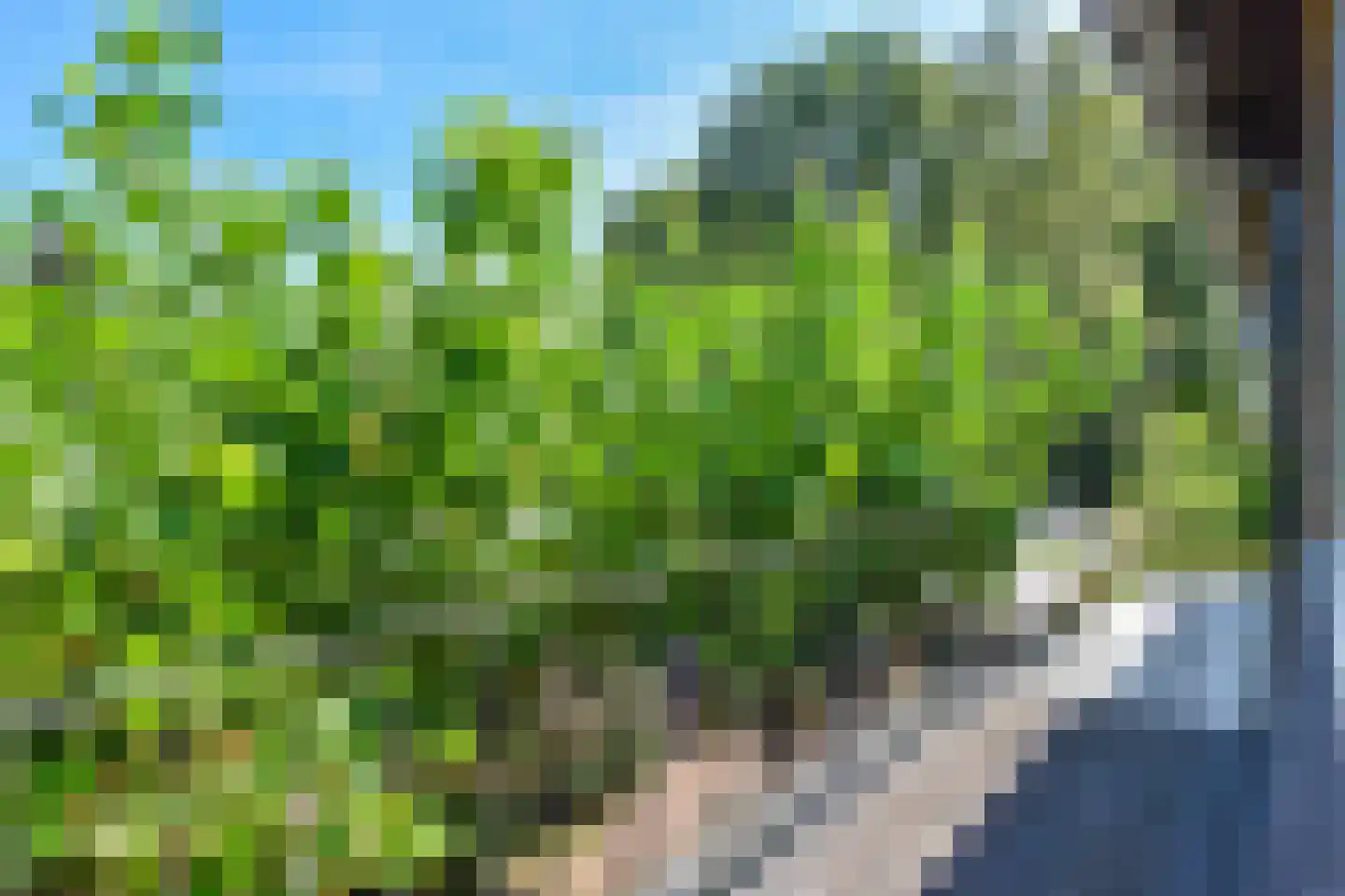 Steffenshein West 24 Laren thumbnail 42
