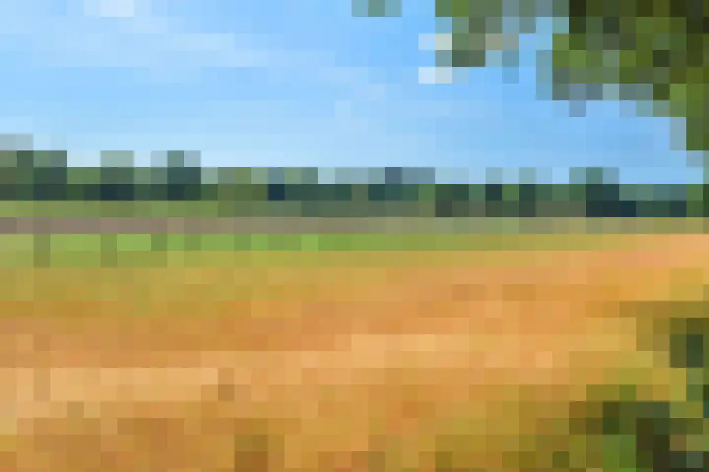 Steffenshein West 24 Laren thumbnail 60