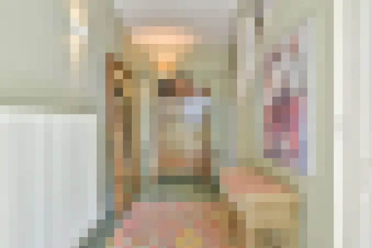 Steffenshein West 24 Laren thumbnail 8