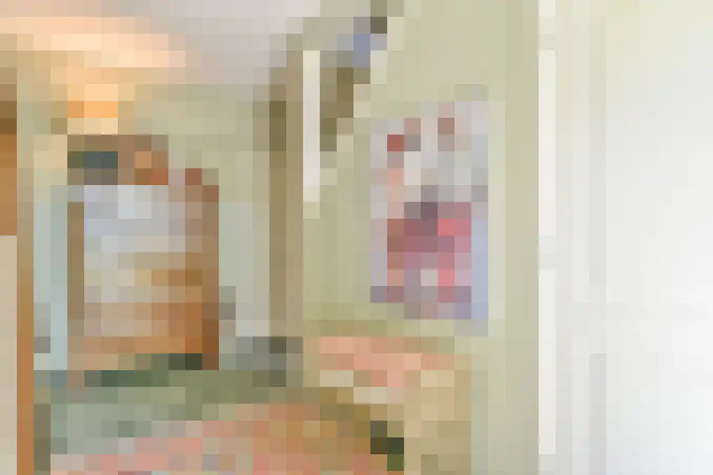 Steffenshein West 24 Laren thumbnail 9