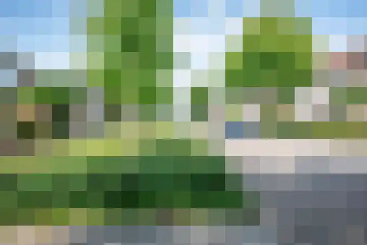 Stegemanserf 3 Staphorst thumbnail 10