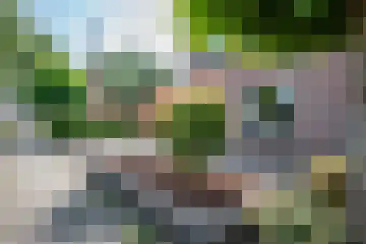 Stegemanserf 3 Staphorst thumbnail 11