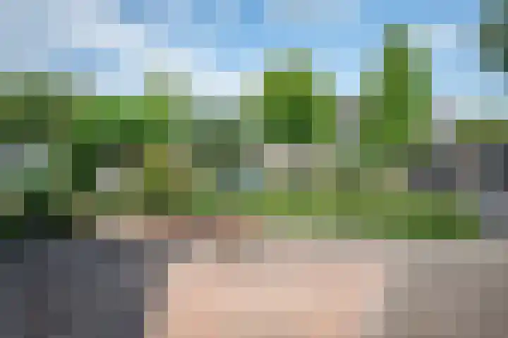 Stegemanserf 3 Staphorst thumbnail 12