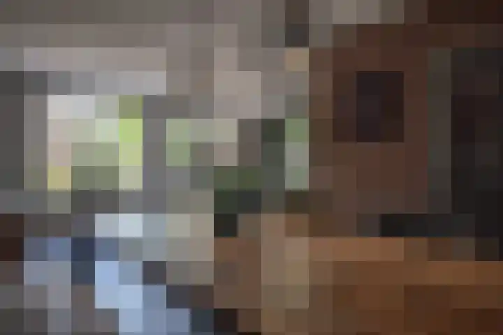 Stegemanserf 3 Staphorst thumbnail 15