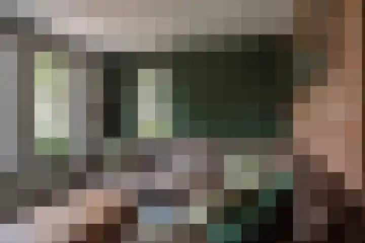 Stegemanserf 3 Staphorst thumbnail 17