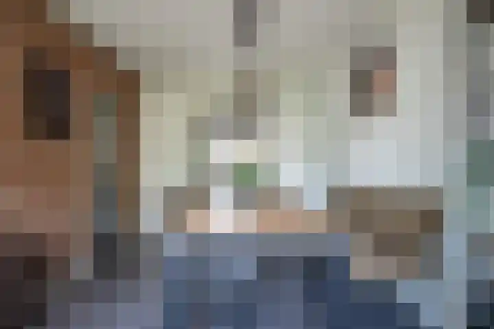 Stegemanserf 3 Staphorst thumbnail 18