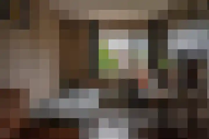 Stegemanserf 3 Staphorst thumbnail 24