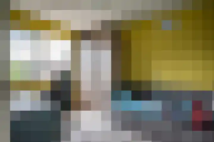 Stegemanserf 3 Staphorst thumbnail 25