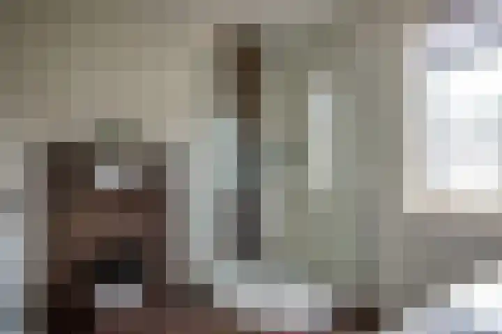 Stegemanserf 3 Staphorst thumbnail 26