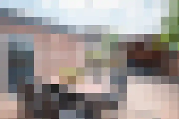 Stegemanserf 3 Staphorst thumbnail 31