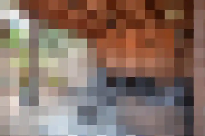 Stegemanserf 3 Staphorst thumbnail 32