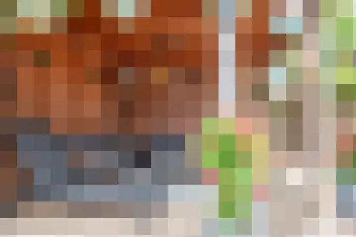 Stegemanserf 3 Staphorst thumbnail 33
