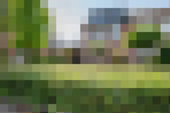 Stegemanserf 3 Staphorst thumbnail 8