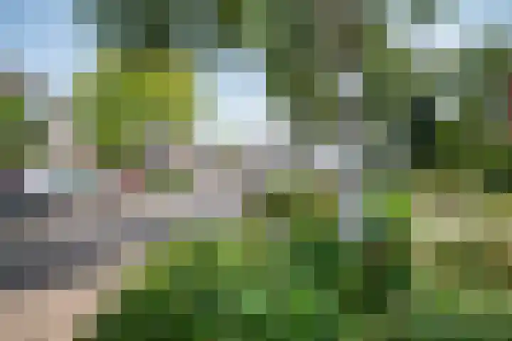 Stegemanserf 3 Staphorst thumbnail 9