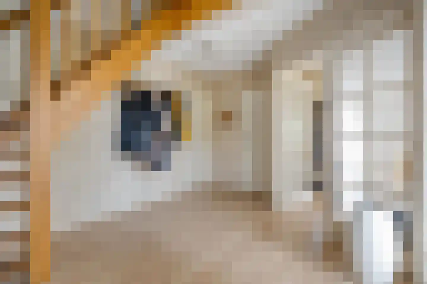 Stegemanserf 8 Dalfsen thumbnail 10