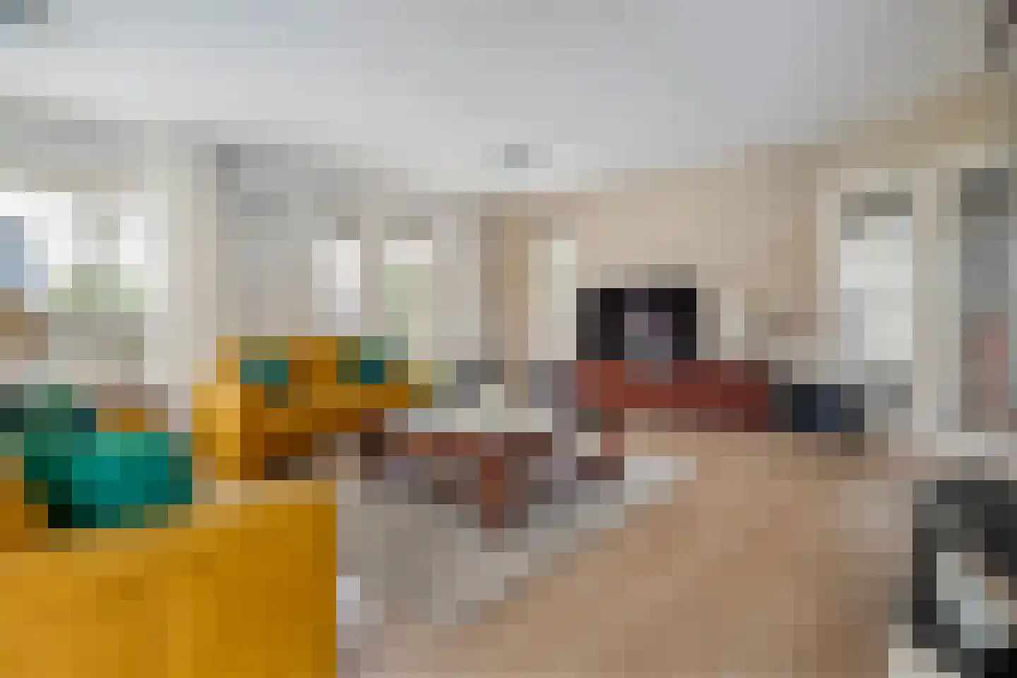 Stegemanserf 8 Dalfsen thumbnail 15