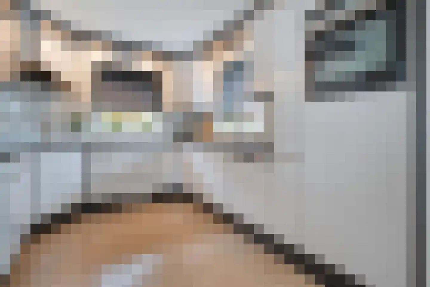 Stegemanserf 8 Dalfsen thumbnail 22