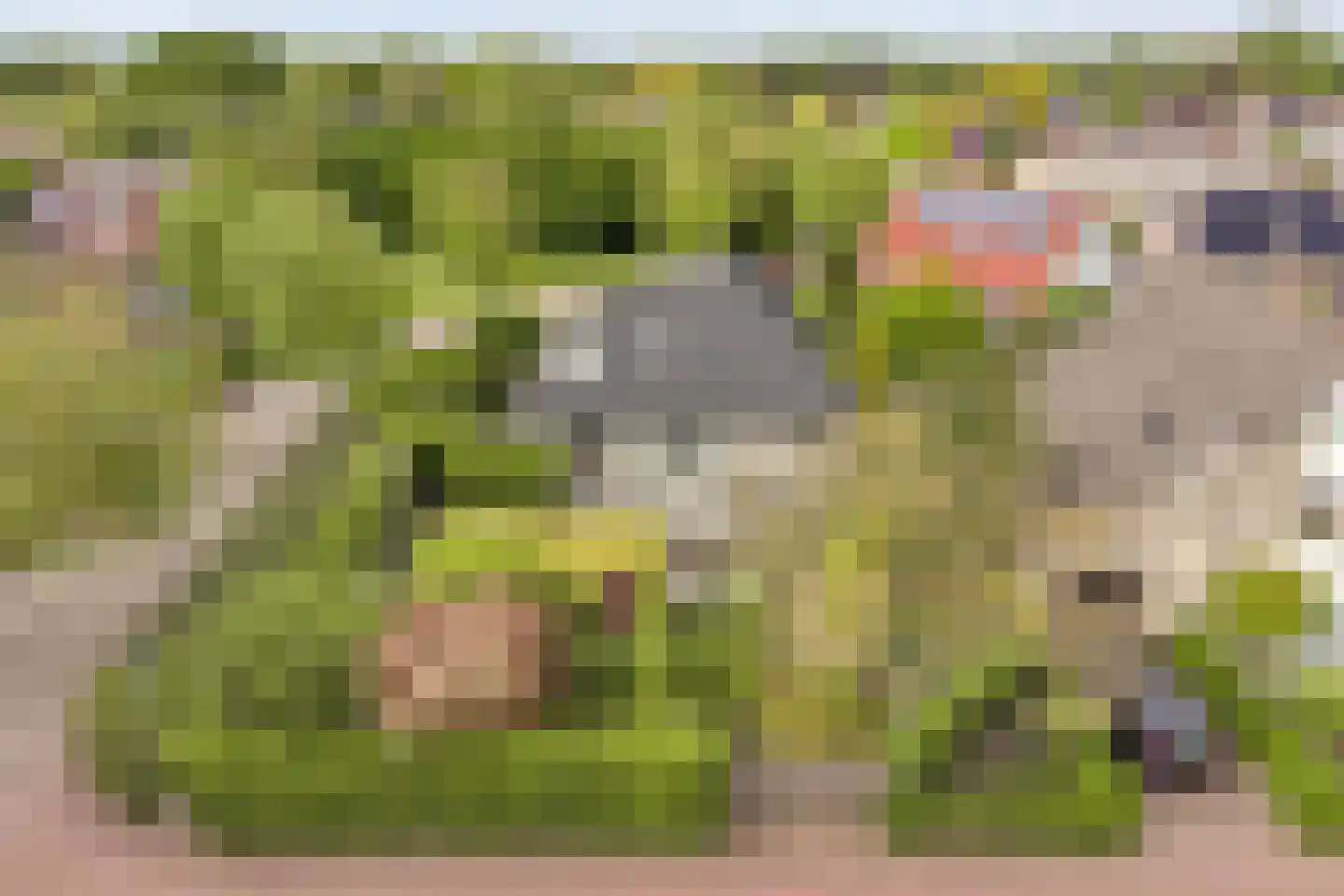 Stegemanserf 8 Dalfsen foto 3