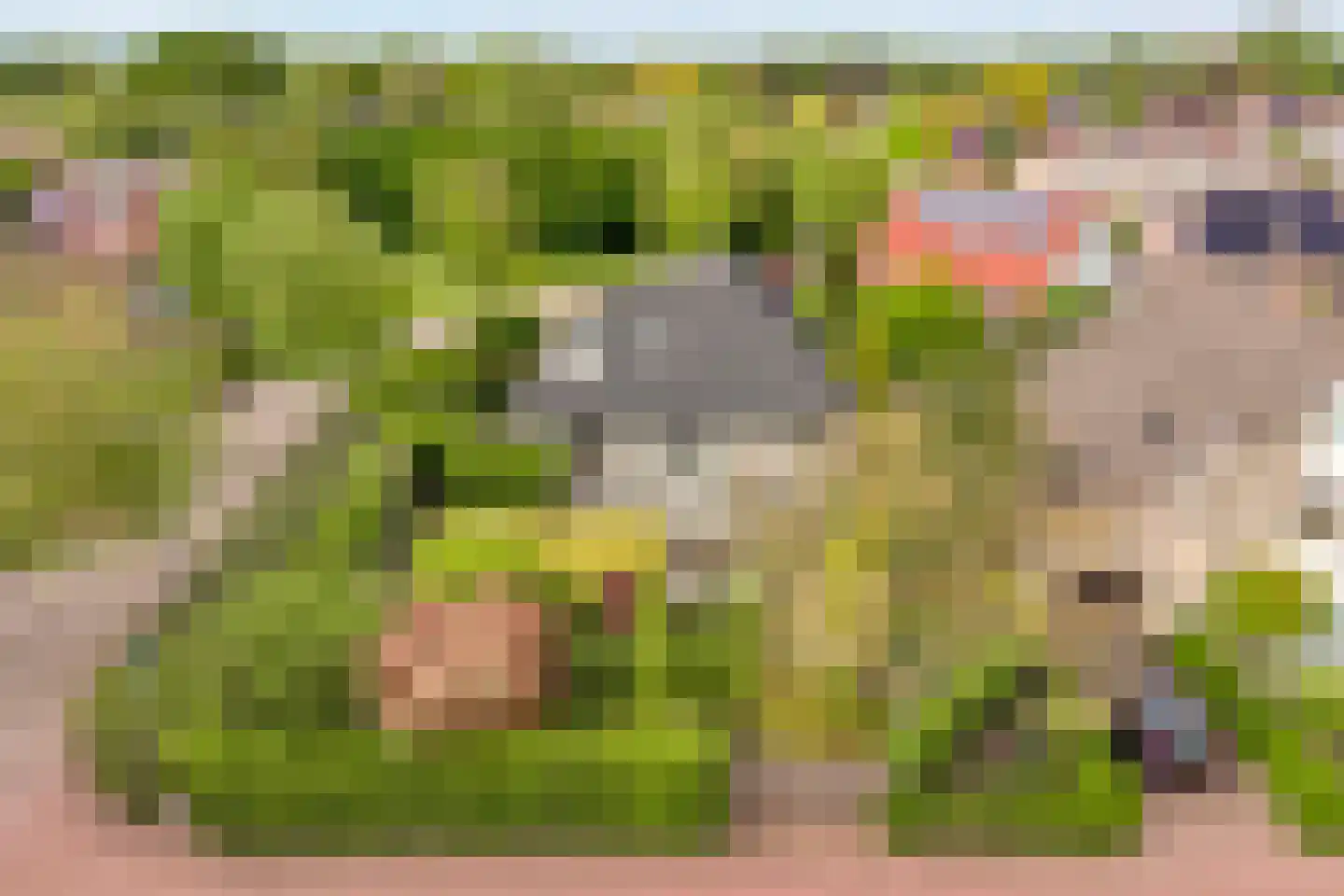 Stegemanserf 8 Dalfsen foto 3
